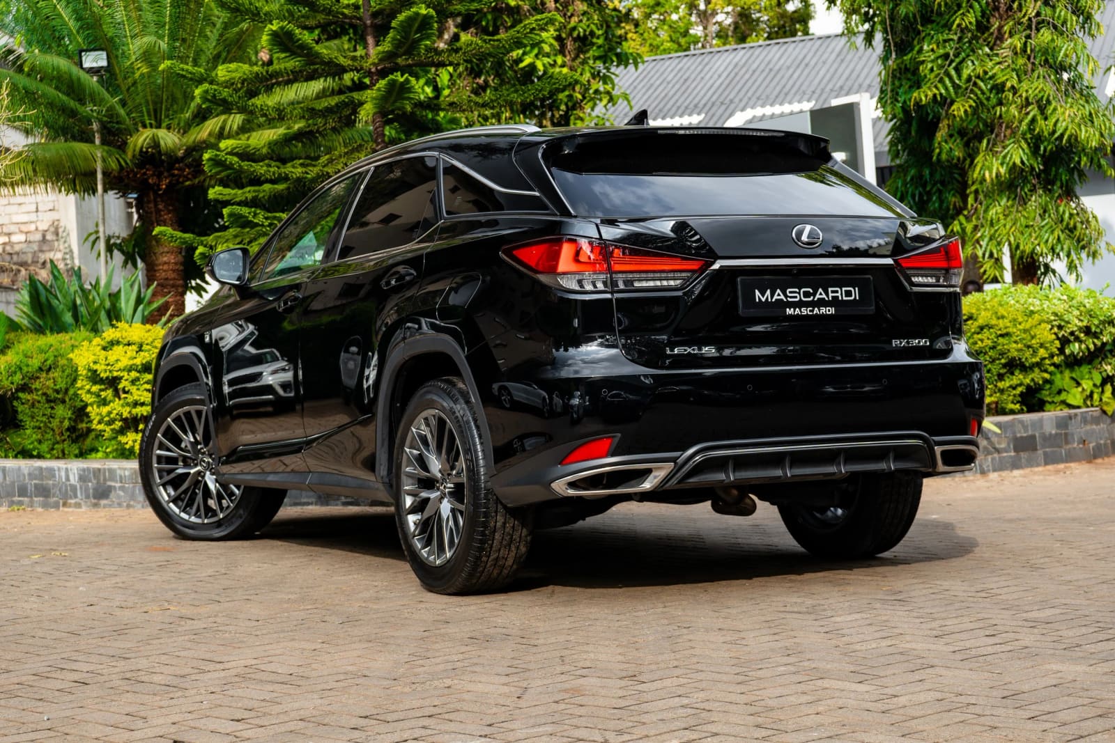 Lexus RX300 F-Sport thumbnail 6