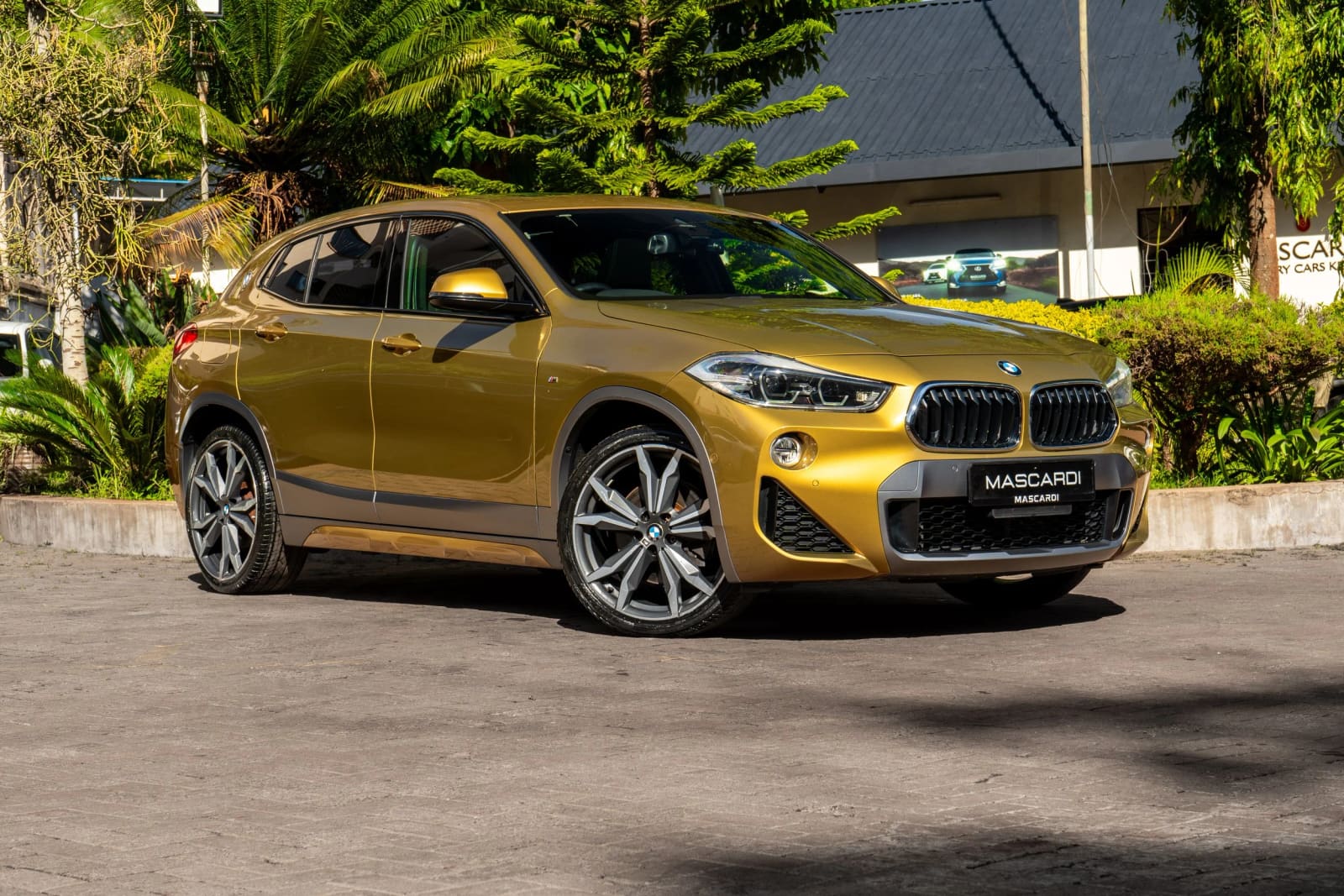 BMW X2 X-Drive20i thumbnail 5