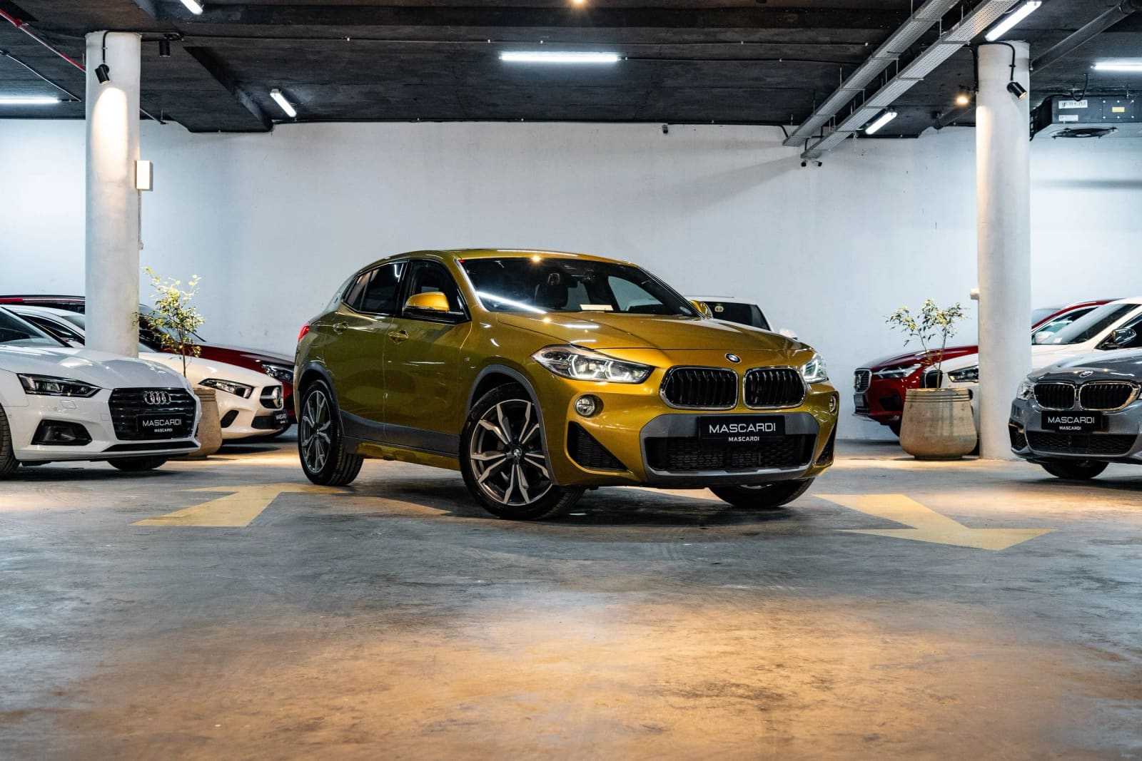 BMW X2 X-Drive20i thumbnail 4