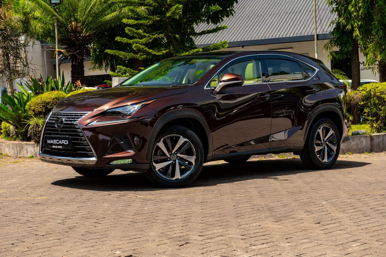 Lexus NX 300