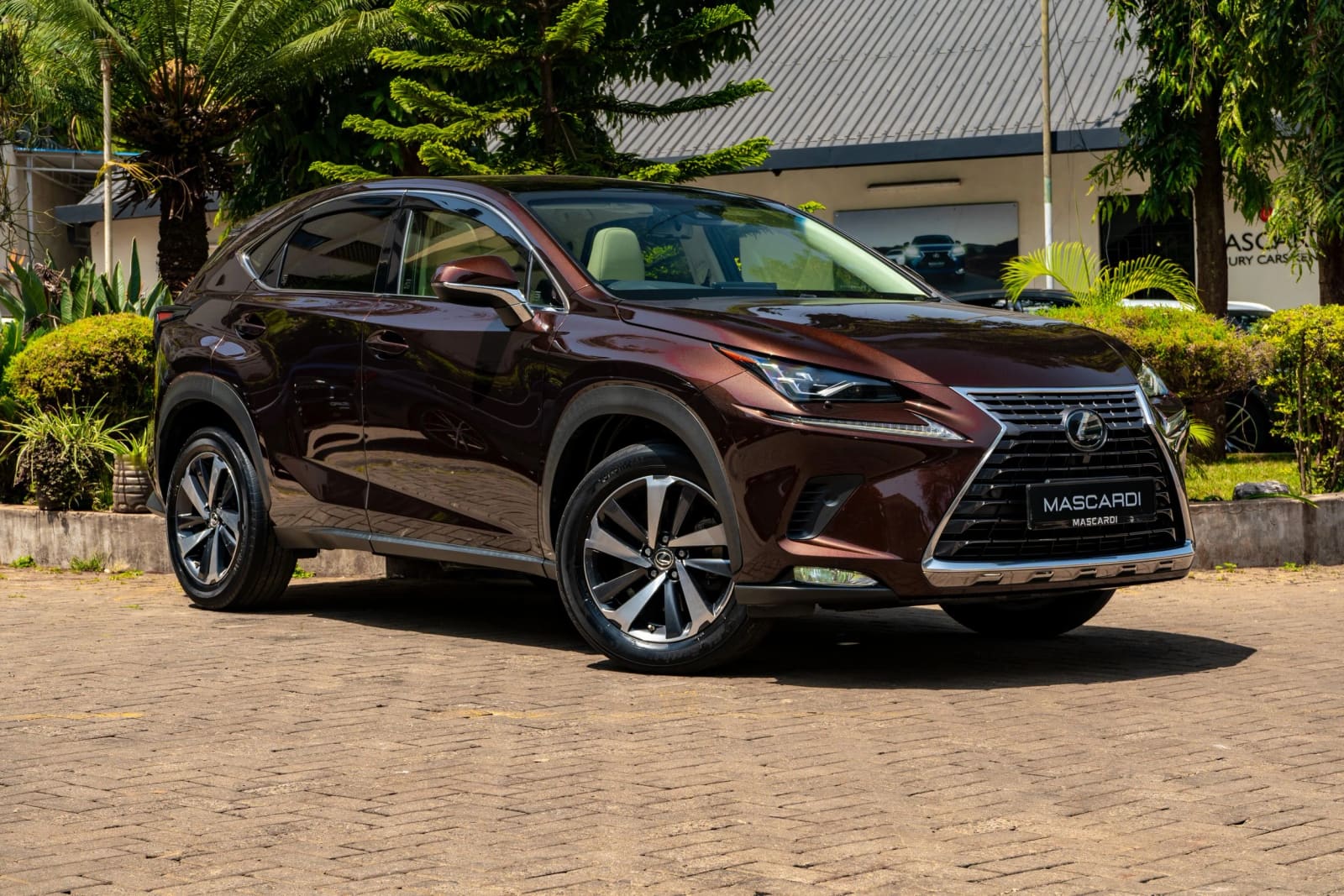 Lexus NX 300 thumbnail 4