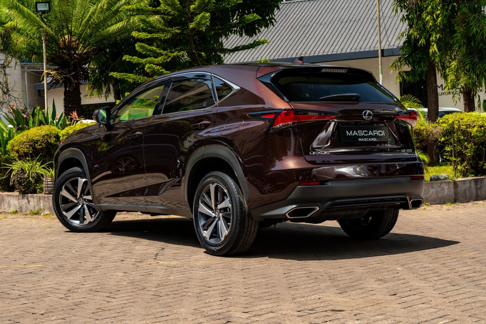 Lexus NX 300 thumbnail 5