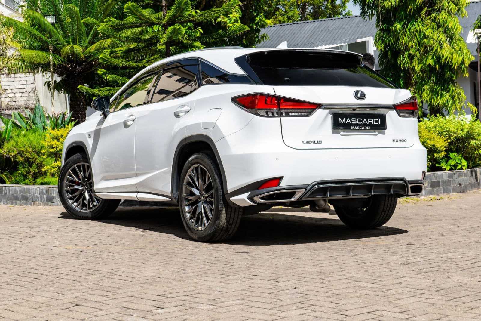 Lexus RX300 F-Sport 4WD thumbnail 6